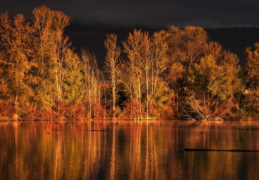 2015-10-05 07-29-11