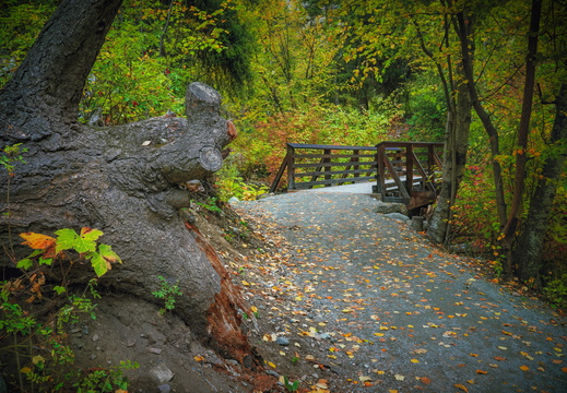 2019-10-02 09-51-46