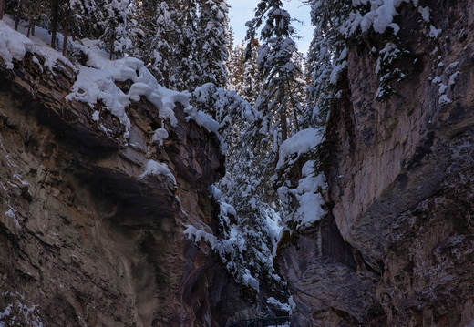 2020-01-20 10-28-23
