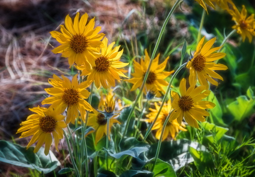 2015-04-24 09-02-30