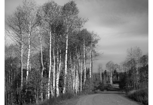 2025-10-07_09-19-43_03_2k