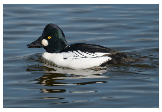 2026-03-31_12-36-46_12
