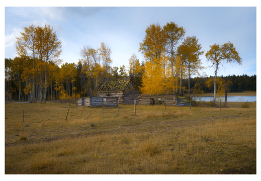 2024-10-09_09-30-510