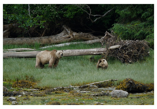 2026-06-03_12-07-42_2_raw-denoise