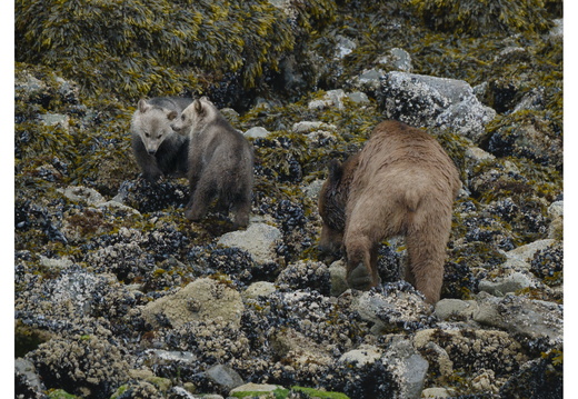 2026-06-03_09-13-09_1_raw-denoise