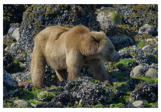 2026-06-02_09-51-17_raw-denoise