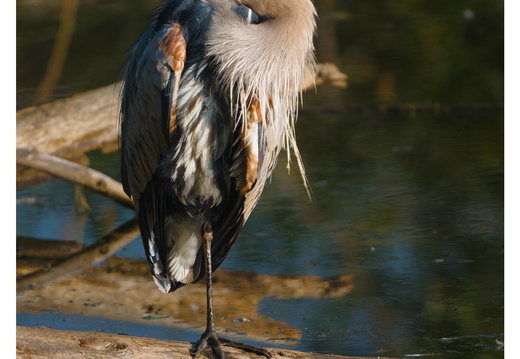 2026-08-03_07-00-55_3